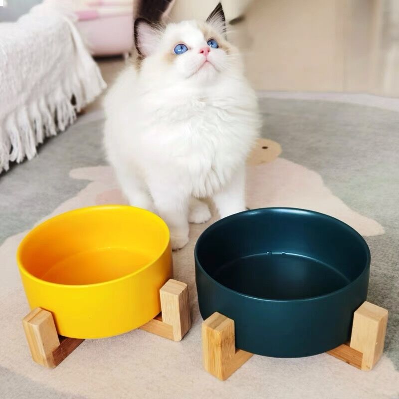 Pet Bowl